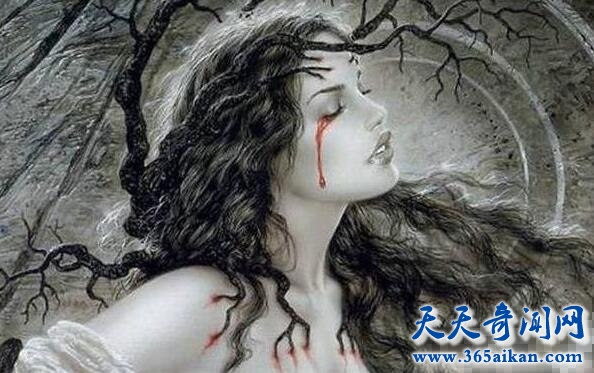 第十三双眼睛1.jpg