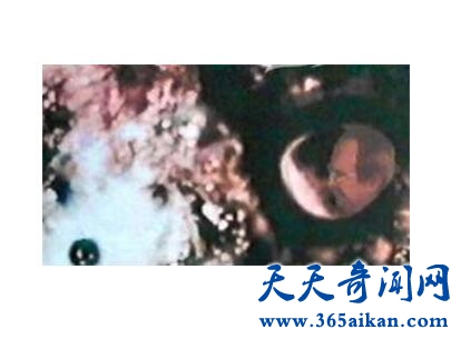 斯科勒实验1.jpg