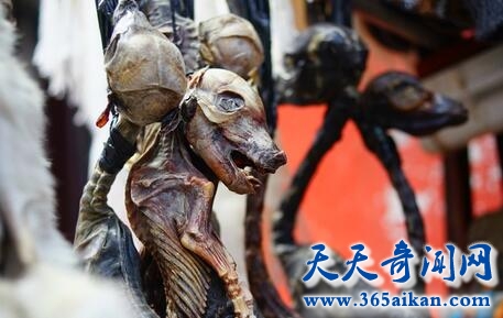 黑巫术4.jpg
