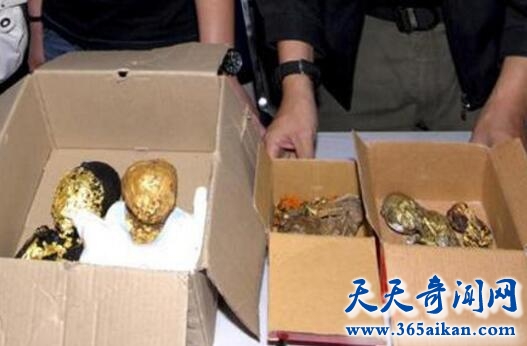 黑巫术2.jpg