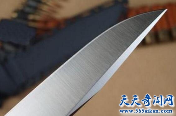 利器1.jpg