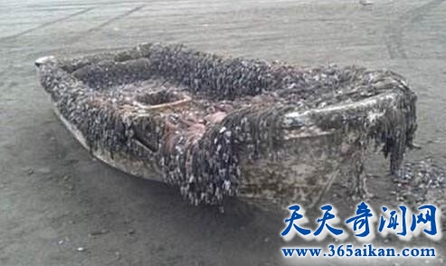 西非无人鬼船1.jpg