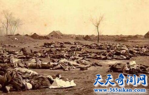 湘南僵尸村3.jpg