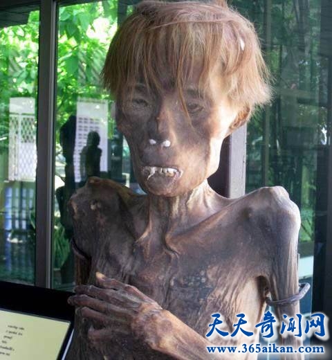 探索泰国恐怖博物馆，泰国恐怖博物馆恐怖在哪里？