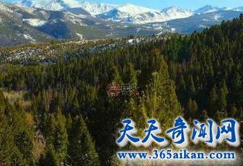 QQ截图20170411115104.jpg