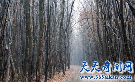 QQ截图20170411115104.jpg
