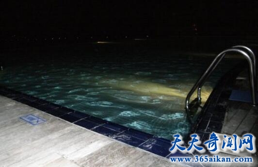 游泳池.jpg