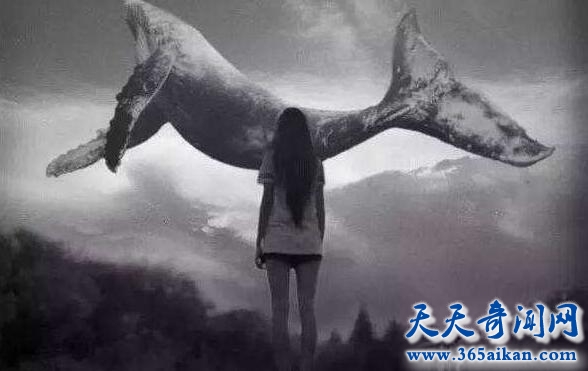 死亡游戏蔓延全世界，蓝鲸游戏50个任务诱导青少年自杀！