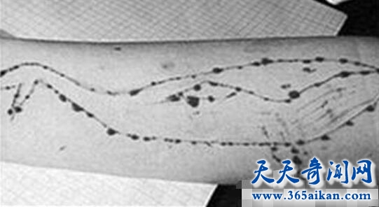 死亡游戏蔓延全世界，蓝鲸游戏50个任务诱导青少年自杀！