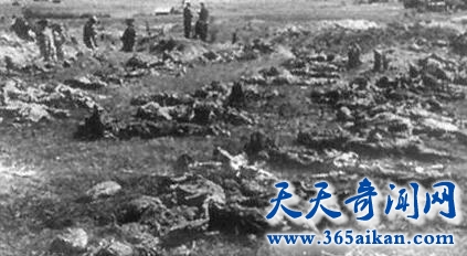 QQ截图20170411115104.jpg