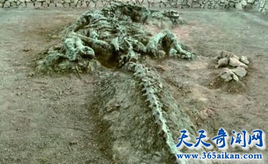 QQ截图20170411115104.jpg