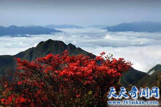深圳大学灵异事件盘点 万千学子竟是为镇压邪物！