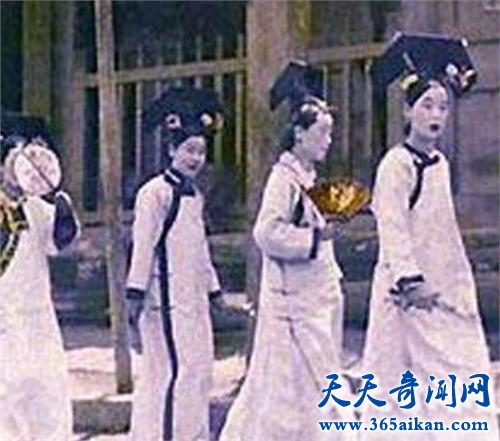 u=1910178977,538535545&fm=27&gp=0.jpg