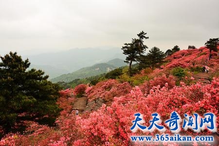 u=3967879612,53927402&fm=26&gp=0.jpg