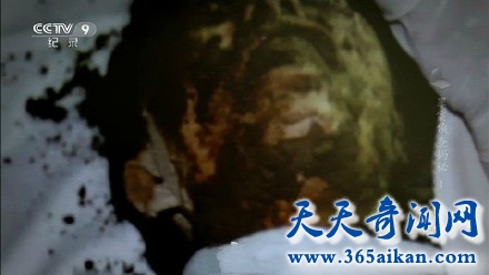 a5bac552gw1f8wmxdjkk4j20c806w0t7.jpg