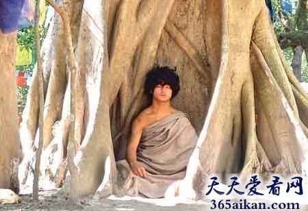 转世灵童3.jpg