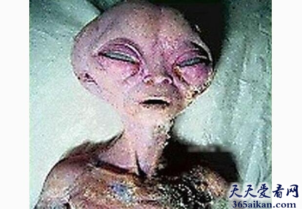 外星人6.jpg