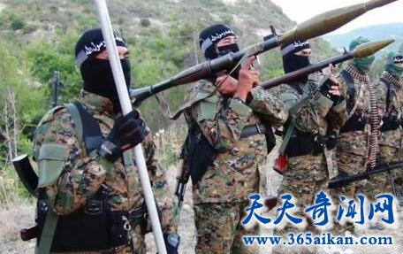 东突厥斯坦解放组织1.jpg