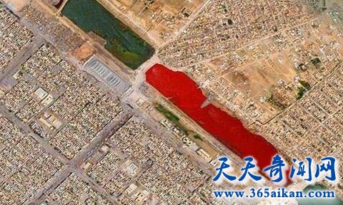 盘点谷歌地图上的惊人发现有哪些？您绝逼想不到的各种奇特事件！