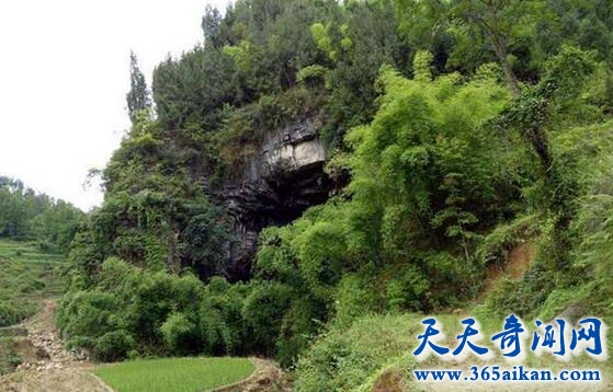 女孩私奔隐居山洞4.jpg