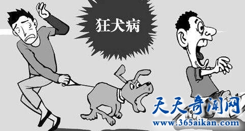 QQ截图20170411115104.jpg