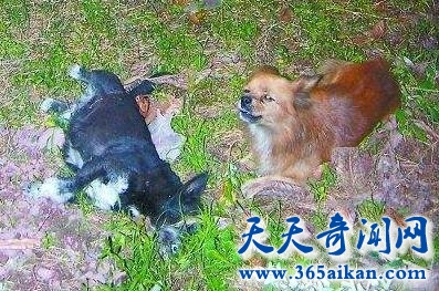 QQ截图20170411115104.jpg