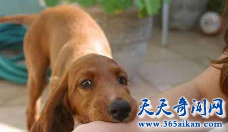 QQ截图20170411115104.jpg