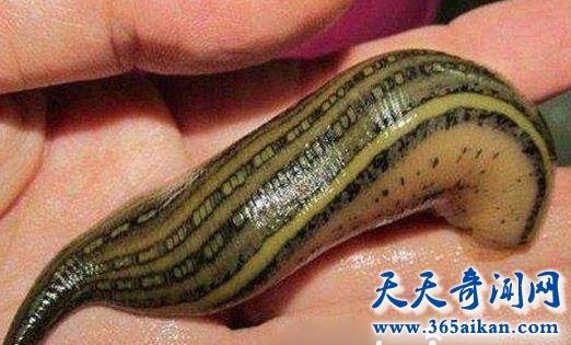 QQ截图20170411115104.jpg
