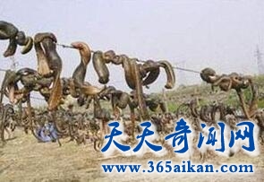QQ截图20170411115104.jpg