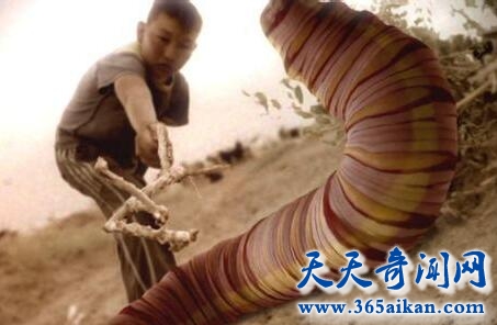 QQ截图20170411115104.jpg