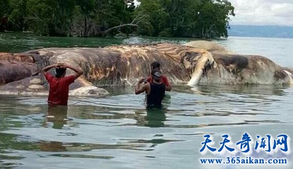 QQ截图20170411115104.jpg