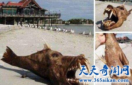 QQ截图20170411115104.jpg