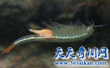 QQ截图20170411115104.jpg