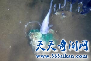6_180510150357_1_副本.jpg