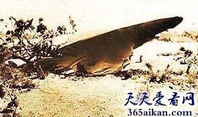 细数近些年美国十大外星人事件有哪些？又是各种疑问待解决！