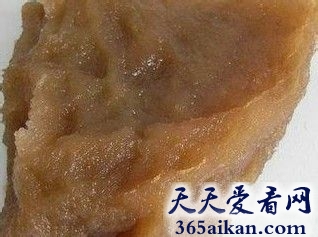 世界上最神奇的物种，村民挖出800斤太岁