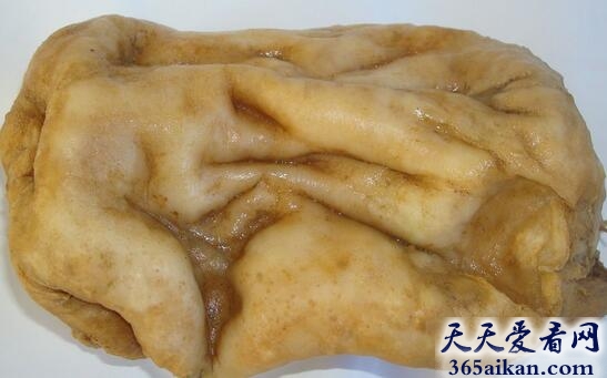 生物界中的第四种生命体，太岁是怎么形成的？