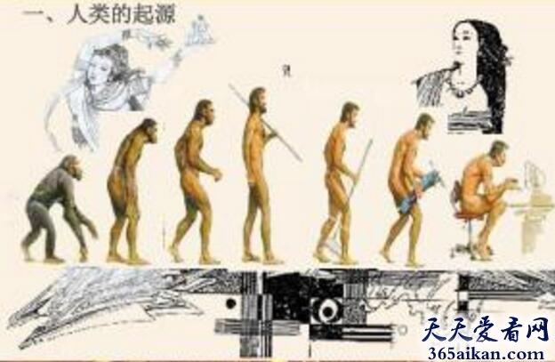 探秘人类起源学说，人类史上第一个原始人是谁？