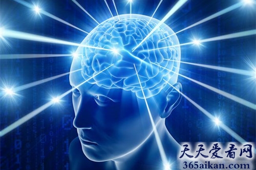 谣言终结者，我的大脑开发了10%是假的！