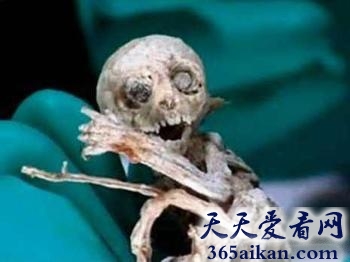 谣言终结者，墨西哥外星人宝宝事件到底是真是假！