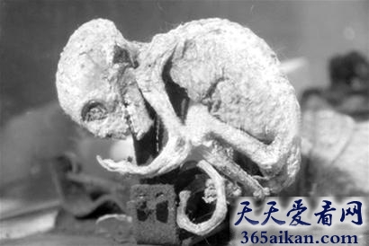 谣言终结者，墨西哥外星人宝宝事件到底是真是假！