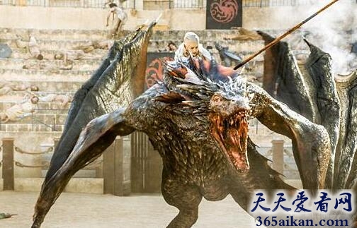 喷火龙3.jpg