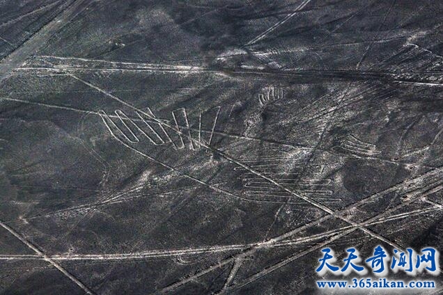 纳斯卡地画1.jpg