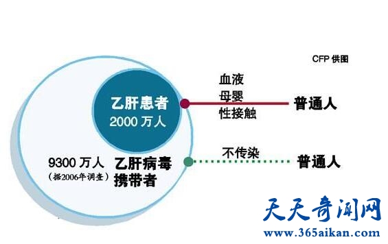 乙肝病毒5.jpg