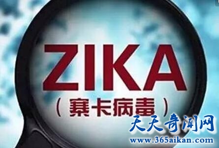 寨卡病毒2.jpg