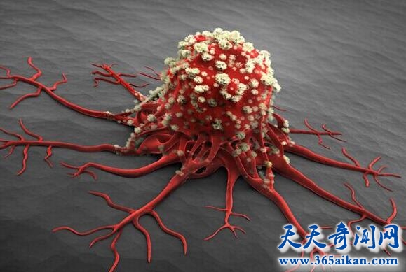 hpv2.jpg
