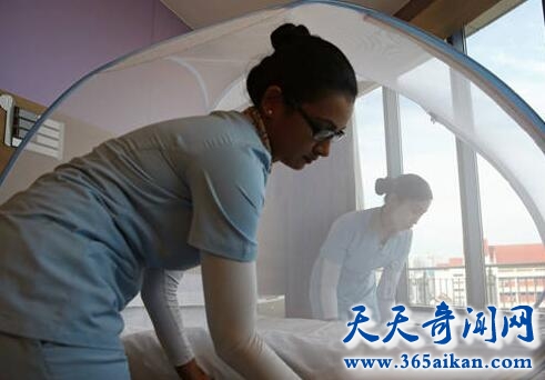 新加坡寨卡病毒2.jpg