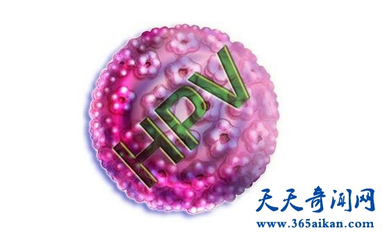 hpv1.jpg
