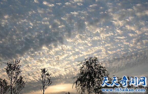 令人惊艳的地震云图片，地震云预测地震来袭！