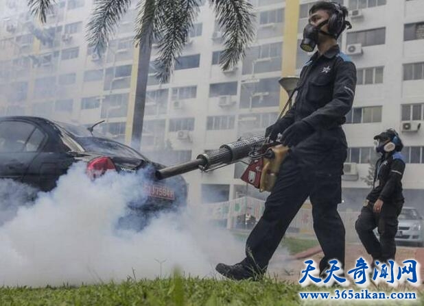 新加坡寨卡病毒1.jpg